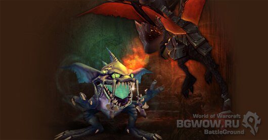 1322500168_pet-battle-8434997