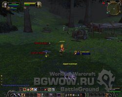1319973270_pvw12106-2455850